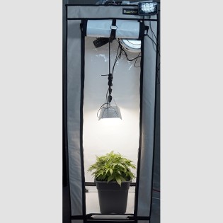 Basic grow setup for one plant 60x60x160 cm