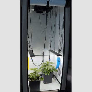 Basic grow setup for two plants 80x80x180 cm