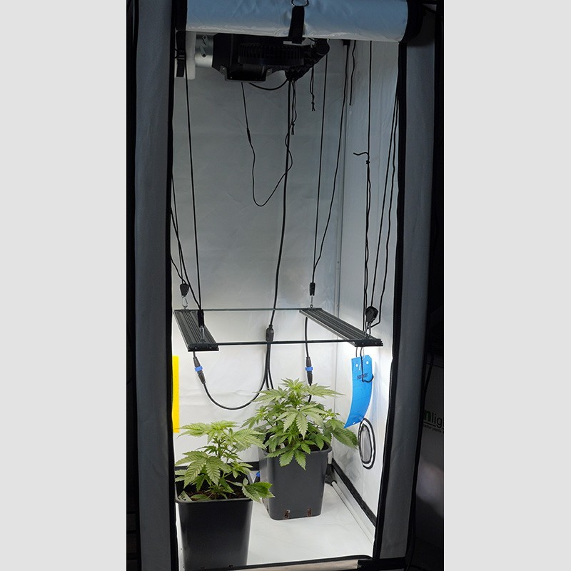 Basic grow setup for two plants 80x80x180 cm