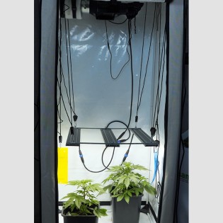 Basic set for two plants 80x80x180 cm