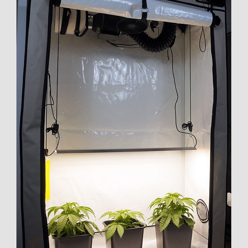 kopia kopia Základní pěstební sestava pro jednu rostlinu