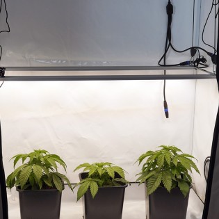 copy of copy of copy of Základní pěstební sestava pro jednu rostlinu