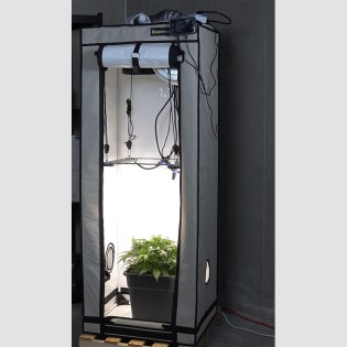 Energy-efficient grow setup for one plant 60x60x160 cm