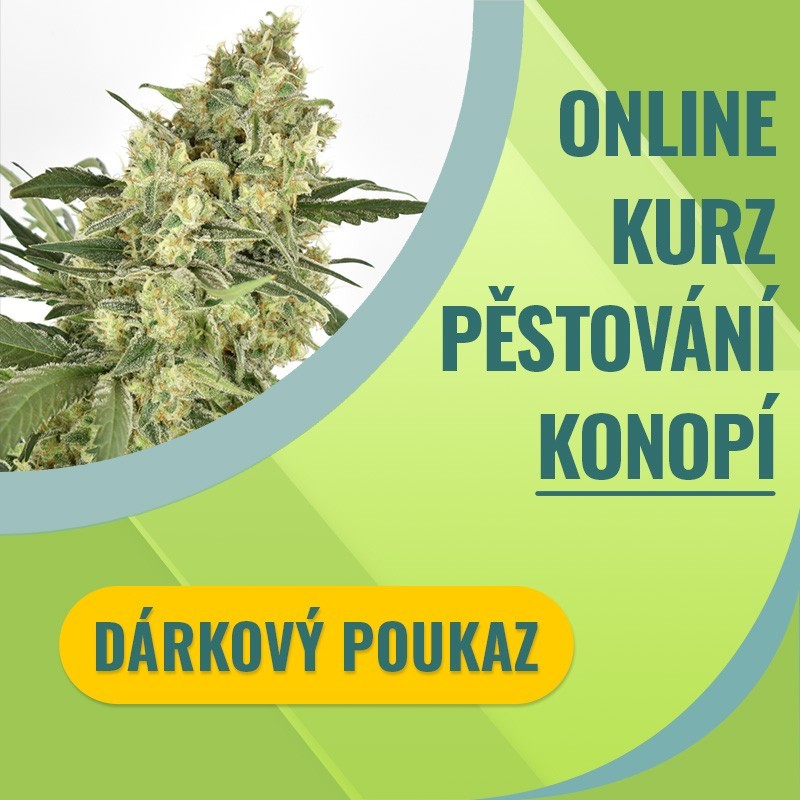 Online kurz pěstování konopí