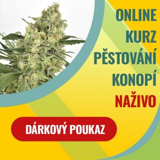 Online kurz pěstování konopí
