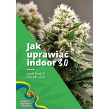 Jak uprawiać indoor 2.1 – Mr. José