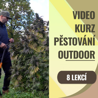 Video kurz pěstování pod sluncem v podmínkách ČR