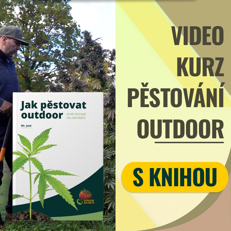 kopia Video kurz s knihou