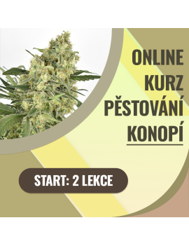 copy of Kompletní online...