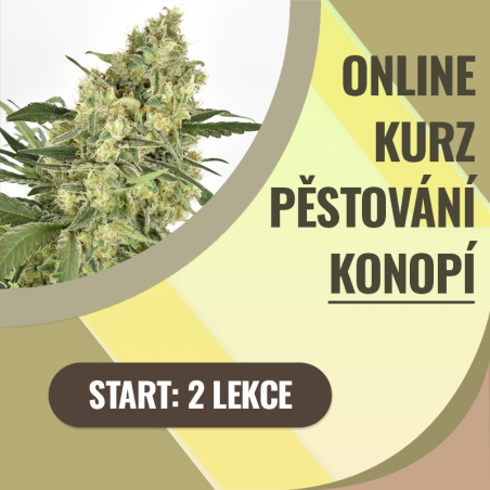 copy of Kompletní online kurz pěstování konopí