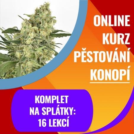 Na splátky: Kompletní online kurz pěstování konopí