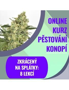 copy of Kompletní online...