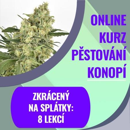 Na splátky: Osm lekcí online kurzu pěstování konopí