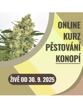 Kompletní online kurz...