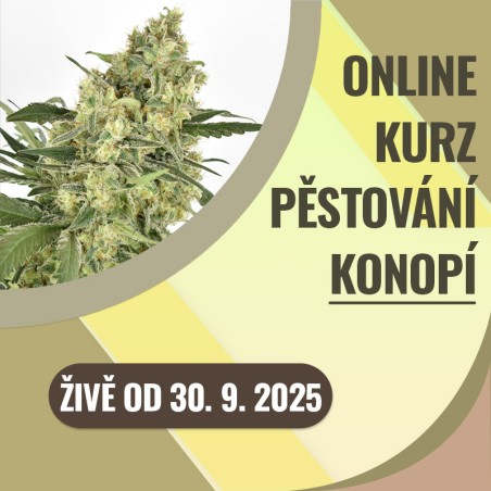 Kompletní online kurz pěstování konopí