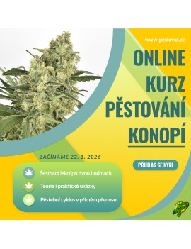 Kompletní online kurz...