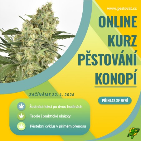Kompletní online kurz pěstování konopí