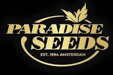 Paradise Seeds