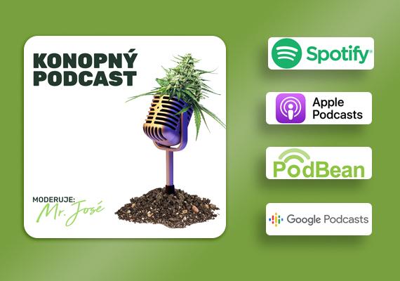 Podcast