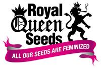 Royal Queen seeds