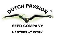 Dutch passion, jak pěstovat marihuanu, konopí, grower
