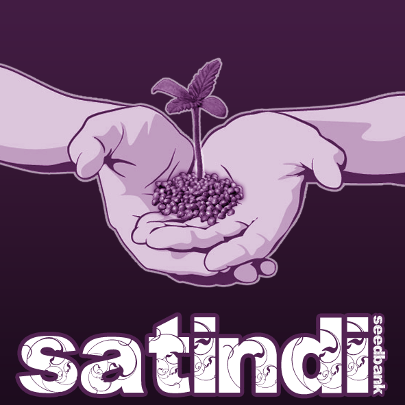 Satindi Seeds