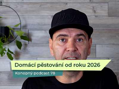 Je čas slavit? Legální pěstování v Česku od roku 2026.