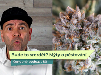Bude to smrdět? Mýty o domácím pěstování.