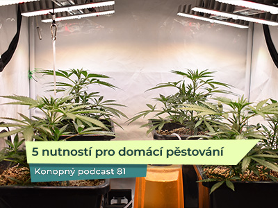 Pět nutností pro domácí pěstování