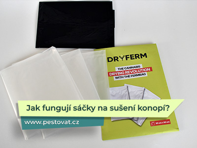Jak fungují sáčky na sušení konopí? Můj test DryFerm.