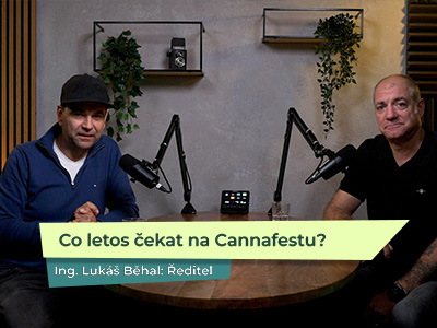 Co letos čekat na Cannafestu? Tipy přímo od jeho ředitele – KP 82