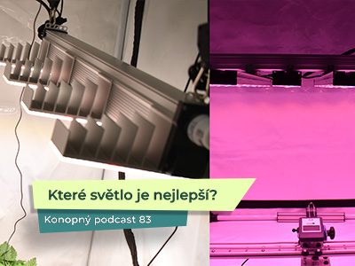 Jak vybrat pěstební světlo (a na co si dát pozor)