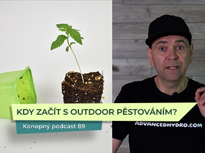 Kdy začít s outdoor pěstováním konopí? 🌱