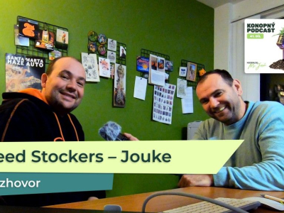 Rozhovor s Joukem, majitelem Seed Stockers