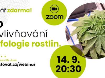 Webinář zdarma: VPD a ovlivňování morfologie rostlin