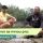 Rozhovor se mnou pro Czech Cannabis TV