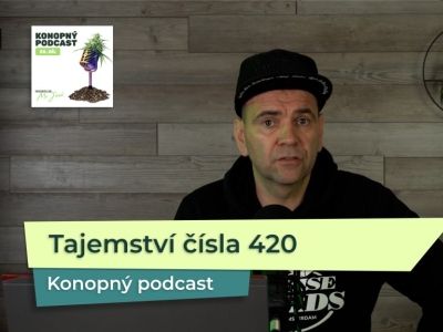 Proč je číslo 420 spojováno s konopím