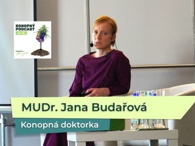 Rozhovor s konopnou doktorkou MUDr. Janou Budařovou