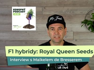 F1 hybridní odrůdy – rozhovor s Maikelem de Bresserem