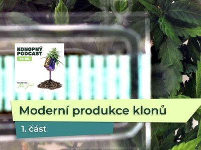 KP 49: Moderní produkce konopných klonů ve Flowery Field – 1. část
