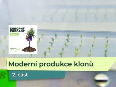 KP 50: Moderní produkce konopných klonů ve Flowery Field – 2. část