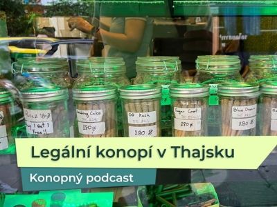 KP 53: Legální konopí v Thajsku