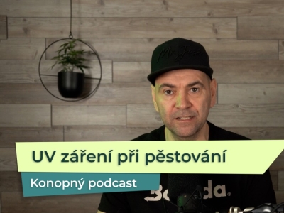 KP 56: Používání UV záření při pěstování konopí