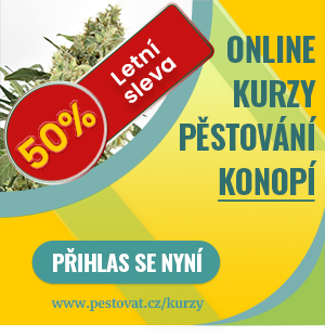 Online kurz