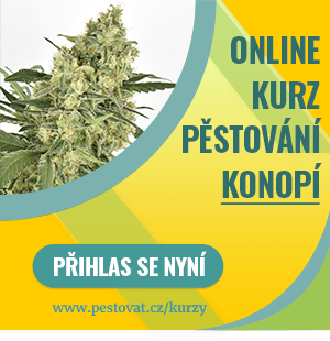 Online kurz